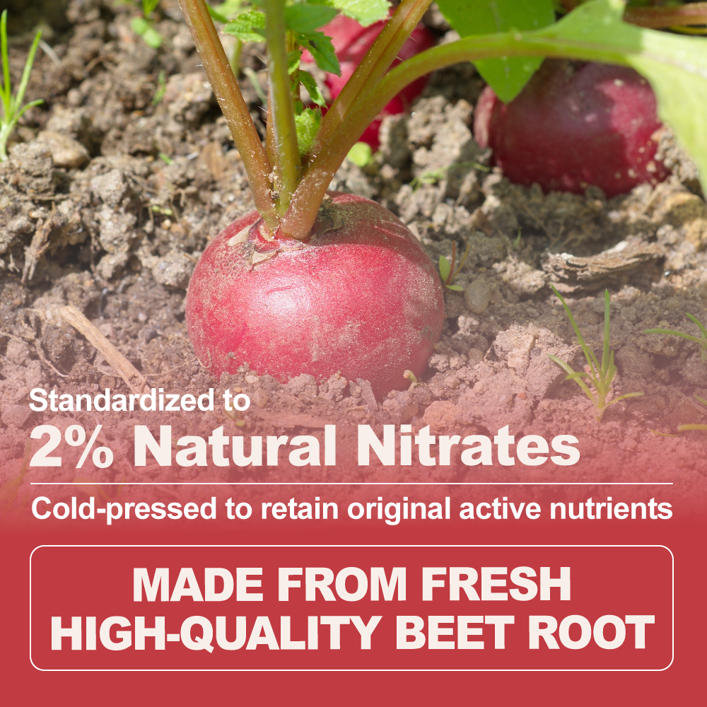 Beetroot Extract Powder 2% Nitrate
