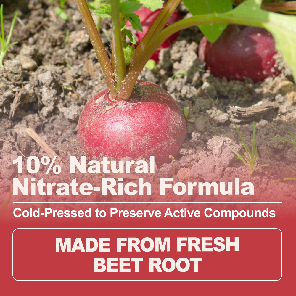 Beetroot Extract Powder 10% Nitrate