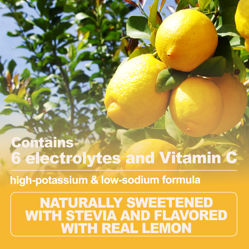 Electrolyte Powder – Lemonade Flavor