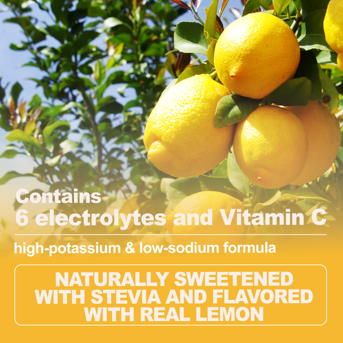 Electrolyte Powder – Lemonade Flavor