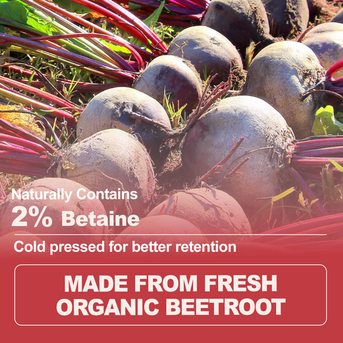 Organic Beet Extract Powder 2% Betaine