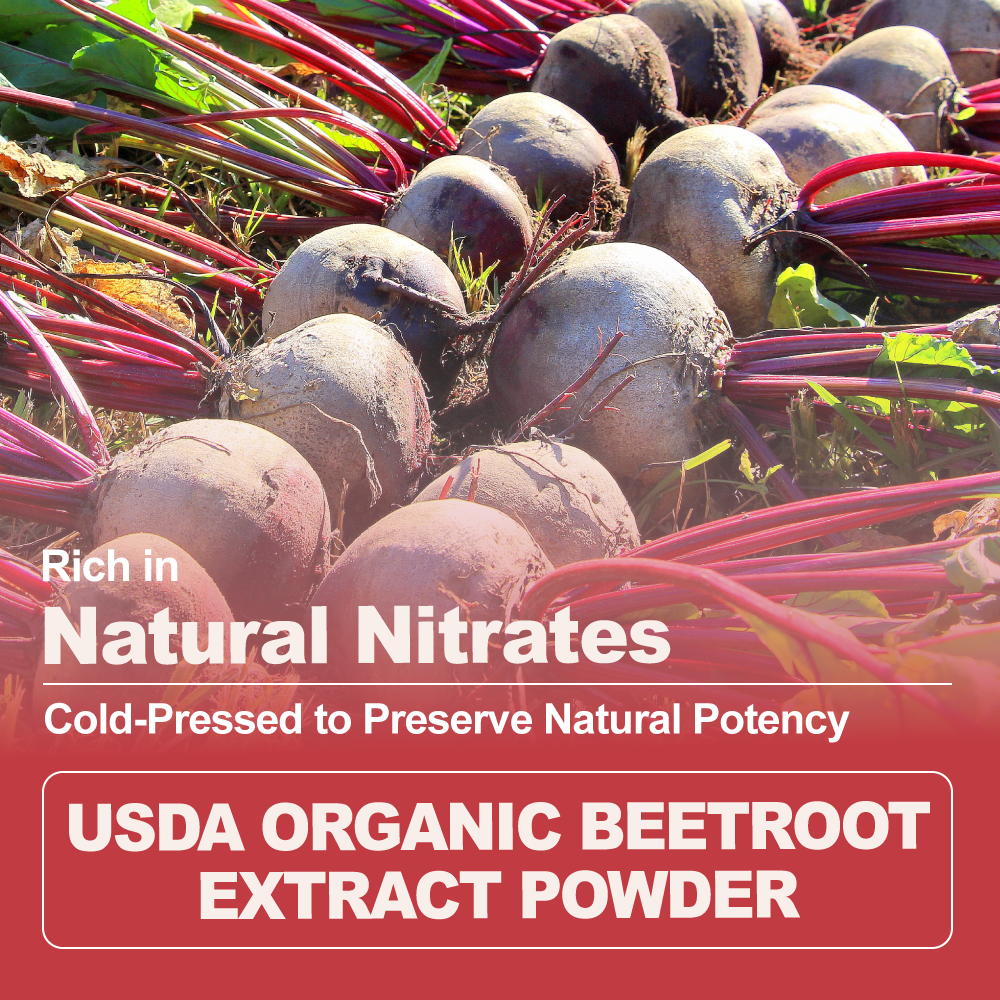Organic Beetroot Extract Powder