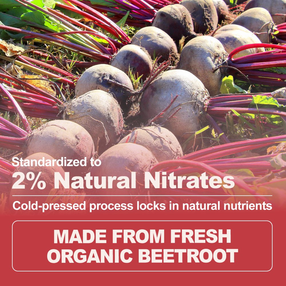 Organic Beetroot Extract Powder 2% Nitrate
