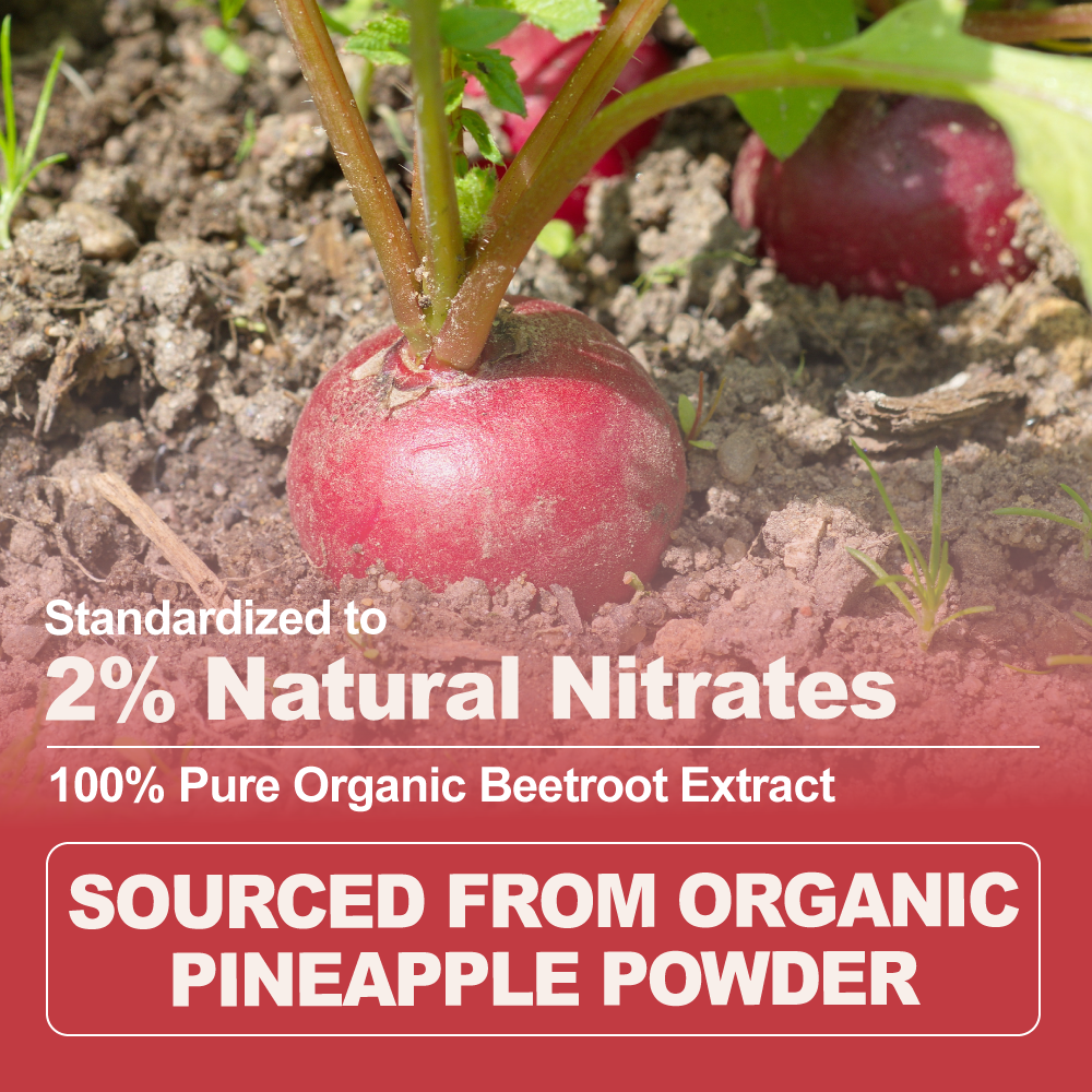 Organic Beetroot Extract Powder Pineapple-Flavored