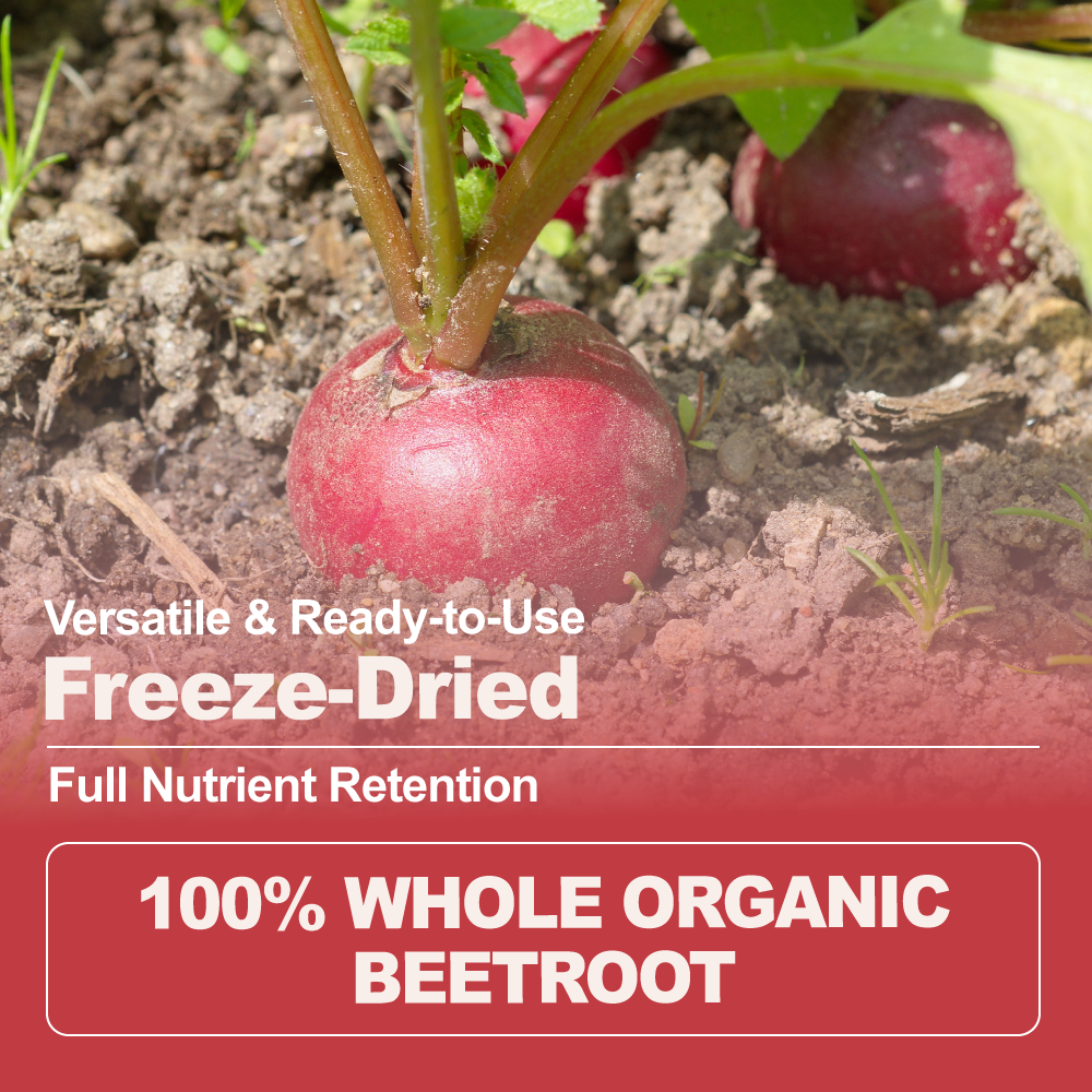 Organic Freeze-Dried Beetroot Pieces