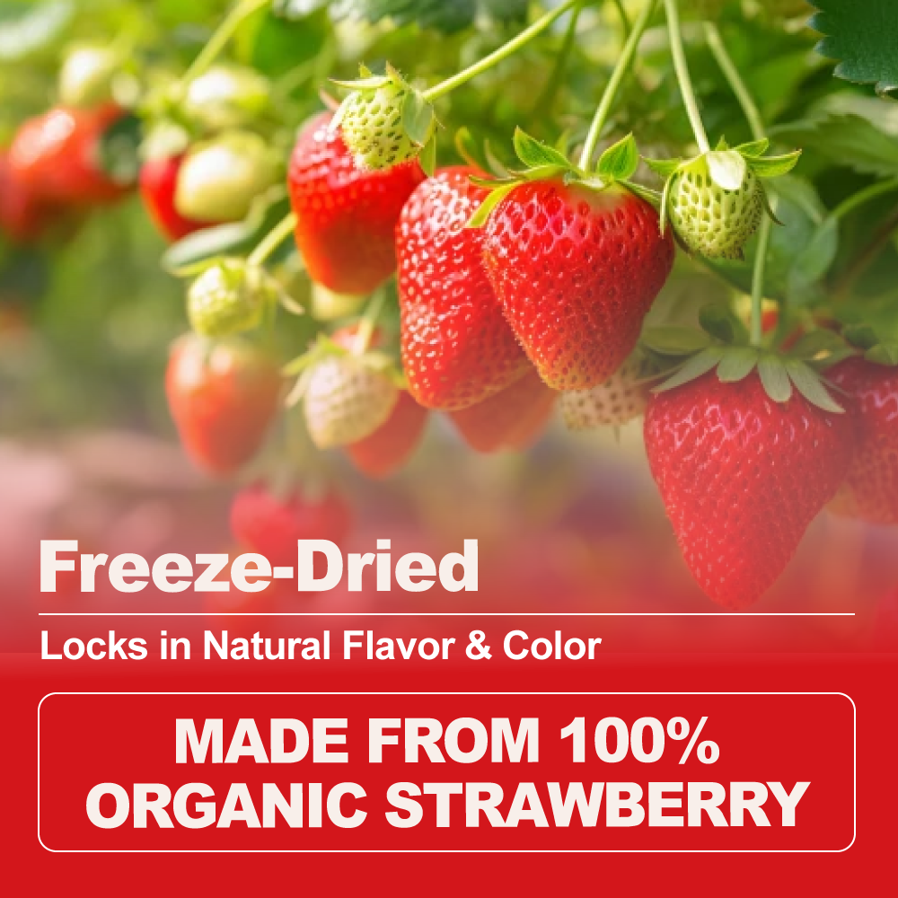 Organic Freeze-Dried Strawberry Powder