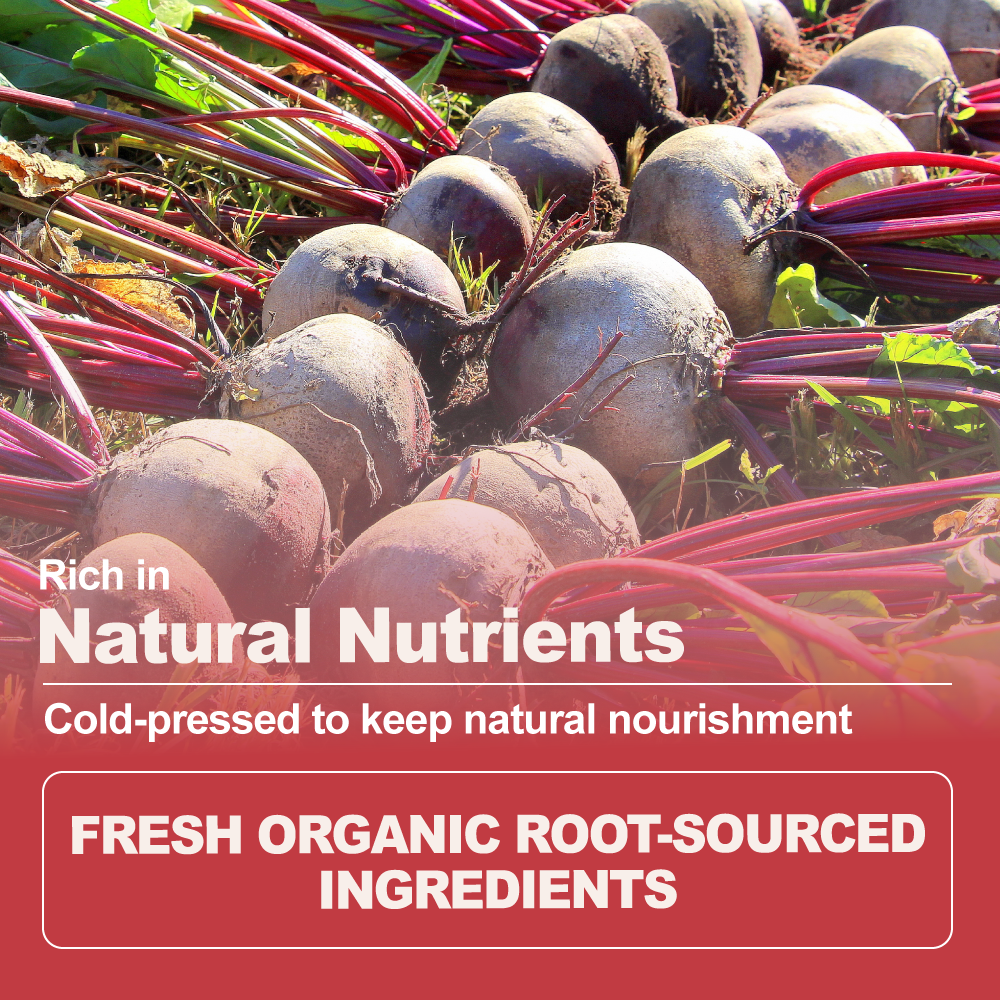 Organic Instant Beet Juice Powder
