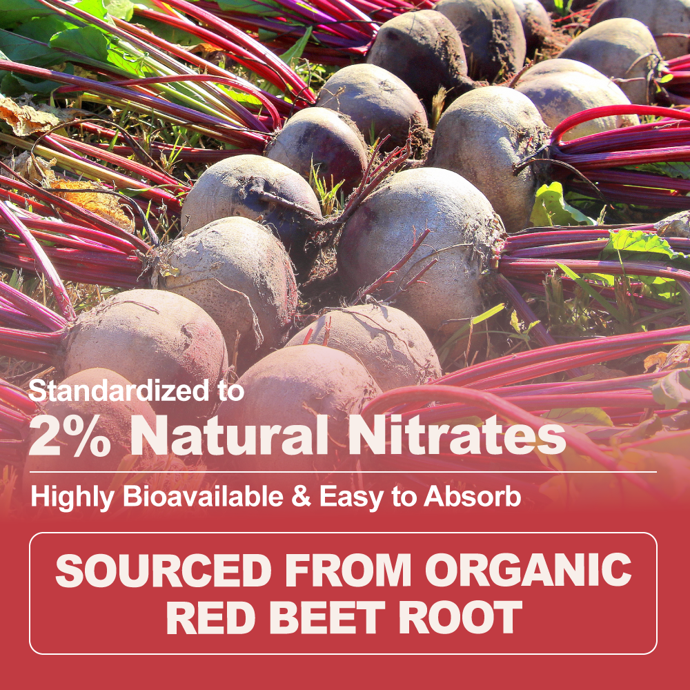 Organic Red Beetroot Powder 2% Nitrate